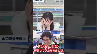 ダンゴムシに解説していただきました→私ダンゴムシじゃないんで#大島璃音 #山口剛央 #ダンゴムシ事件 #アナウンサー#放送事故