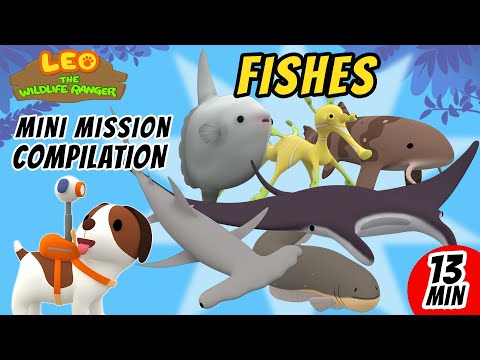 Fishes Mini Mission Compilation - Leo the Wildlife Ranger