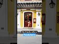 Pet Friendly Cafe Guide In Pondicherry Shorts Travel Petfriendly Cutedog Vacation