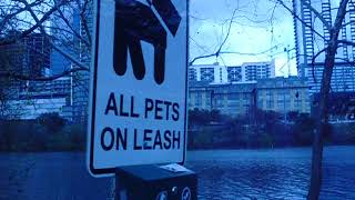 Download lagu CIMG5585 March 4, 2018 Lady Bird Lake Walk mp3 Download lagu CIMG5585 March 4, 2018 Lady Bird Lake Walk mp3