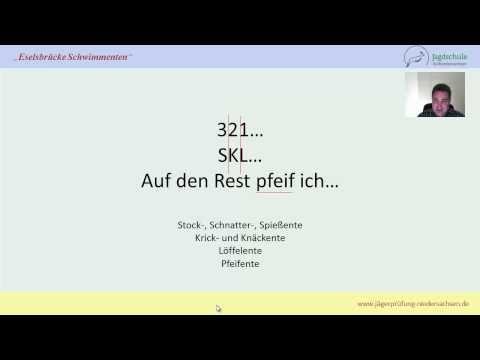 Jägerprüfung Niedersachsen Eselsbrücke Schwimmenten