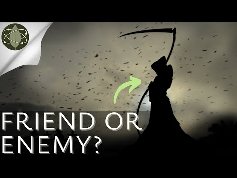 How to use FEAR to your advantage