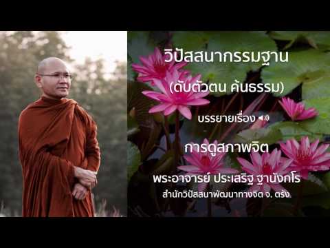 พระประเสริฐ ฐานังกโร บรรยายเรื่อง การดูสภาพจิต