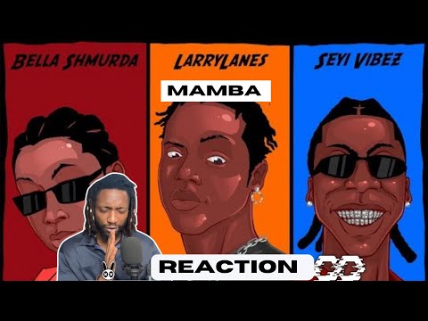 Larrylanes, Seyi Vibez, Bella Shmurda - Mamba (Official Music Video) | UNIQUE REACTION