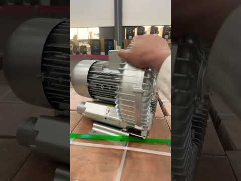VP2200 Blower Motor