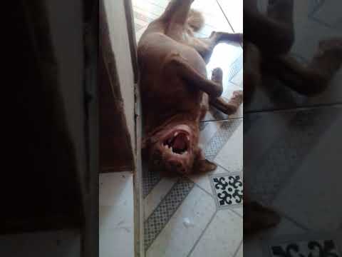 26 de agosto de 2019