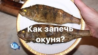 Форма тела окуня речного