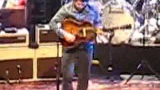 Wilco &quot;Muzzle of Bees&quot;