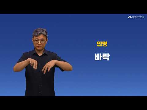 바락 수어