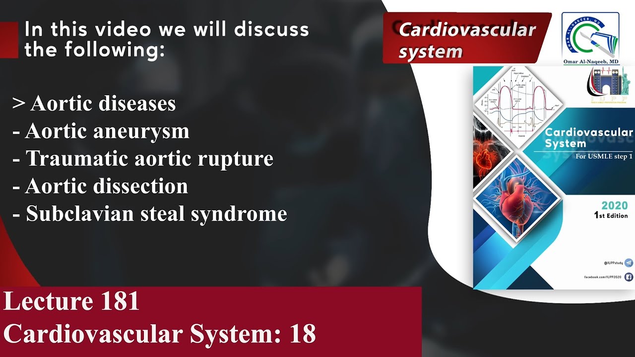 Aortic aneurysm | Traumatic aortic rupture | Aortic dissection | Subclavian steal syndrome