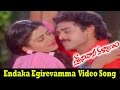 Srinivasa Kalyanam Movie Endaka Egirevamma Video Song Bhanu Priya Gautami Venkatesh