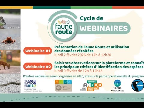 [Webinaire] Présentation de Faune Route et de l’utilisation des données récoltées