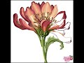 Flower - Happy Color | Mystery