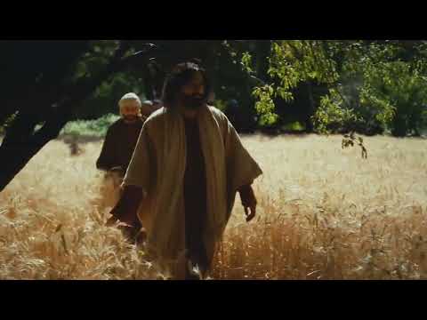 Daily Gospel Reading Video - St. Matthew 24:37-44 (English)