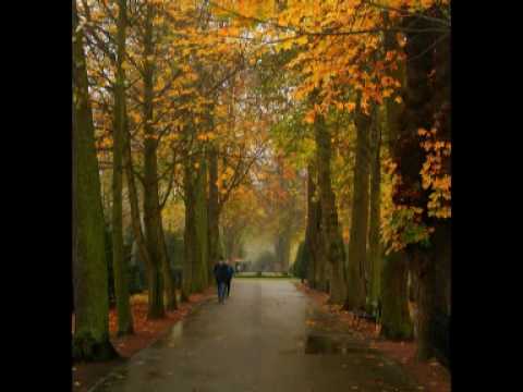 koocheh_moshiri_kourosh yaghmaei