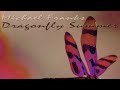 Michael Franks - Dragonfly Summer (with lyrics)