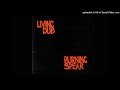 Burning Spear - Help Us  (Dub)