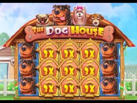 The Dog House: Did I Just Hit MAX WIN?!
