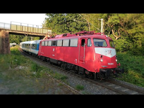 Distelrasen: 110 459-5 mit Sdz am Abzweig Ziegenberg