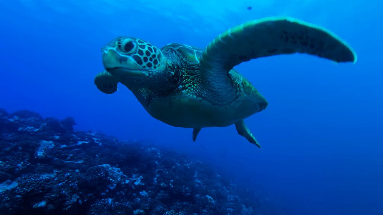 Regenerative Stays Redefine Luxury Travel Through Deep Local Immersion