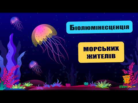 🍀 Дива природи. Явища навколо нас. Біолюмінесценція жителів океану 🌏