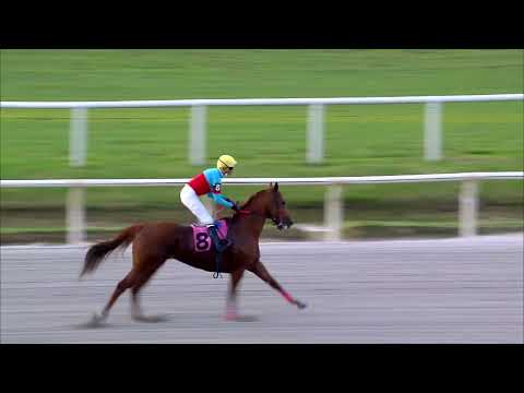 220319 c09 TIPESCO (ARG)