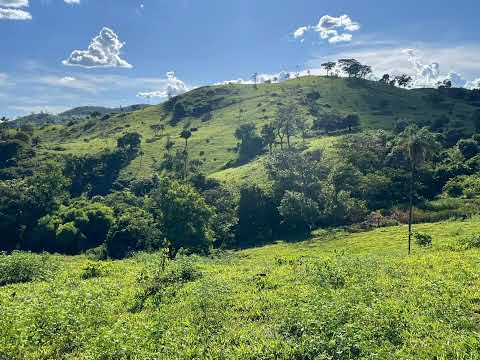 Fazenda de 96 alqueires ou 463 hectares em Santa Isabel Goiás - 62 9 8623 3788 Guilherme