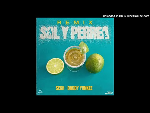 Sech Ft. Daddy Yankee - Sal & Perrea (Remix)