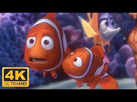 海底總動員 (2003) 尼莫上學第一天，尼莫去學校！(4K 60FPS 超高清修復版) (Finding Nemo (2003) Nemos First Day at School, Nemo goes to School (Remastered 4K 60FPS))