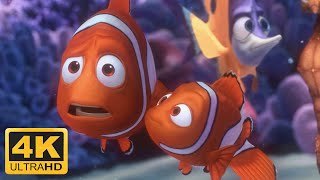 Finding Nemo (2003) Nemos First Day at School Nemo