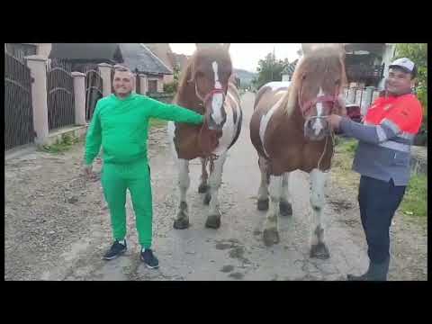 Caii lui Turda de la Nanesti (Maramures,Romania)