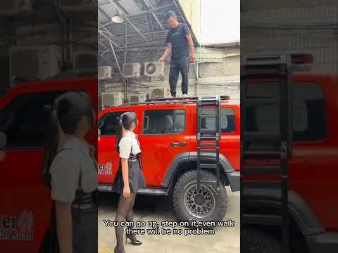 Tank 300 WS Roof Rack And Ladder