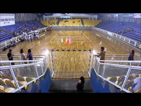 BIFE 2014 - Handebol Masculino - FFLCH x ECA - 2o tempo