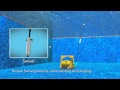 Dolphin Wave 100 commercial pool cleaner I ...