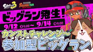 伝説700～ビッグランをみんなで遊びながらカンストするかぁ🐶🌟負け犬系Vtuber配信【スプラトゥーン3】【サーモンランNW】