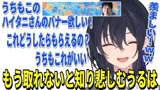 ハイタニさんのバナーを羨ましがるのせさん、無事無線アンチになりました【ぶいすぽ/一ノ瀬うるは / 切り抜き】