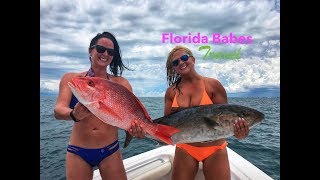 80 miles offshore fishing Madeira Beach Florida