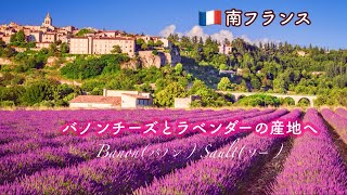 南フランス🇫🇷チーズの教授と巡る美しい村々/バノンチーズ農家とラベンダー畑/バノン村/ソー村