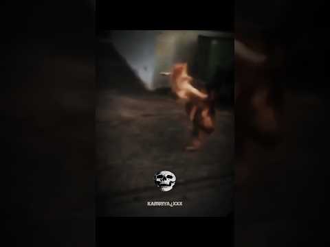 kung fu cats 💀💥 #kungfu #cats #viralshorts #kamriyaxxx