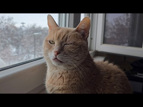 Jürgennel az Orvosnál!