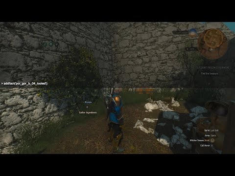 The Witcher III Wild Hunt (GOTY Edition) Revisited |Toussaint Prison Experiment quest Bug Fix