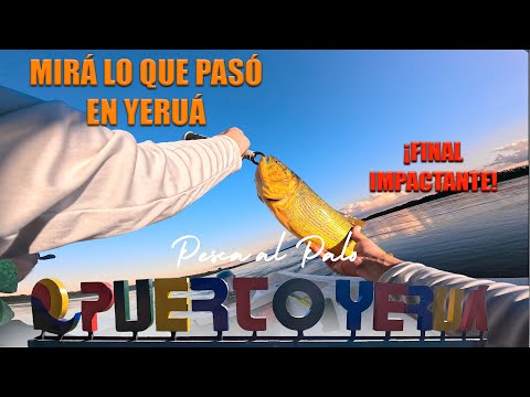 Perdí el DORADO de mi vida pescando en Puerto Yeruá... #dorados #rios #outdoors #señuelos  #pesca