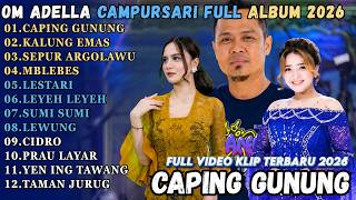 Download lagu OM ADELLA FULL ALBUM CAMPURSARI TERBARU 2026 || CAPING GUNUNG - KALUNG EMAS - SEPUR ARGOLAWU mp3 Download lagu OM ADELLA FULL ALBUM CAMPURSARI TERBARU 2026 || CAPING GUNUNG - KALUNG EMAS - SEPUR ARGOLAWU mp3