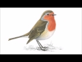Robin and the Backstabbers - Arhanghel'sk ...