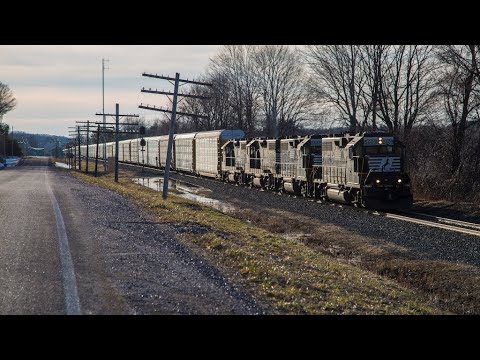 Sound of the Roots Blown 645