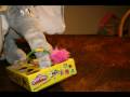 Horton Discovers Pay Doh