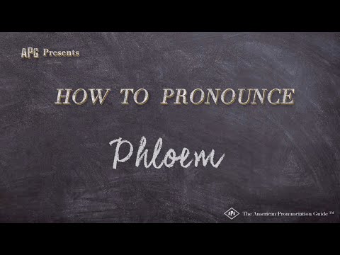 How to Pronounce Phloem (Real Life Examples!)