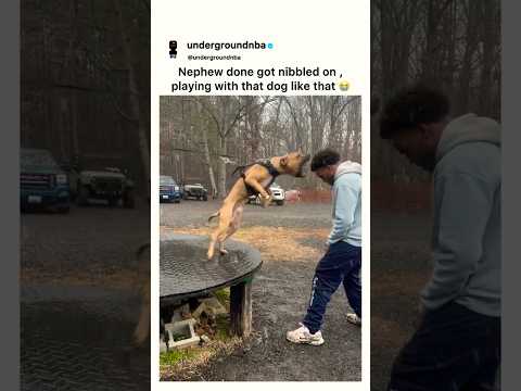 Watch Out Nephew 😂‼️🐕 #real #animals #servicedog #trending #memphis #shorts #viral #memes #bruh