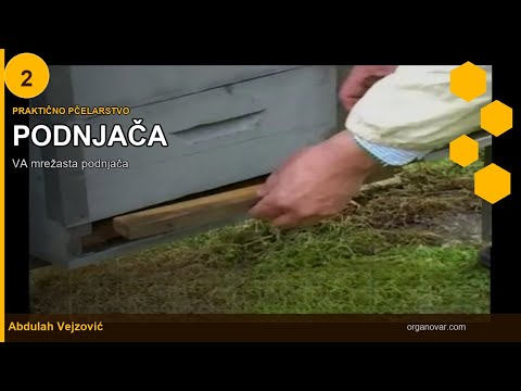 VA podnjača - Mrežasta podnjača