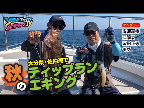 大分県・佐伯湾で秋のティップランエギング（ソルパラTV・第160回2023年10月19日放送）